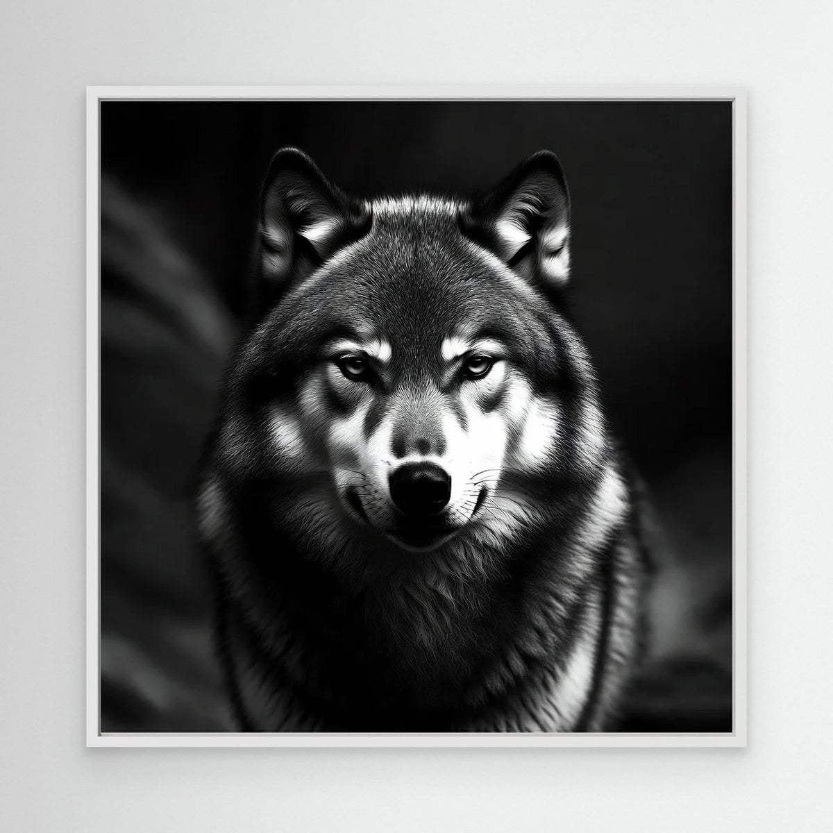 Black and White Wolf – Statement Wall Art
