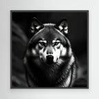 Black and White Wolf – Quadro d'impatto