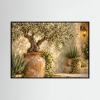 The Olive Courtyard — Drzewo oliwne w terakotowej donicy obok kamiennych schodów i latarni