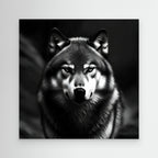Black and White Wolf – Quadro d'impatto