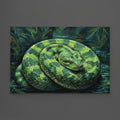 Anaconda 