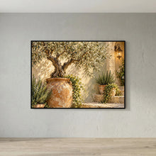 The Olive Courtyard — Obraz botaniczny