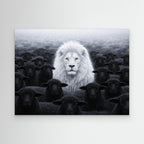 White Lion Among Black Sheep