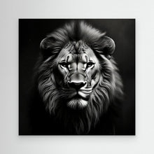 Black and White Lion